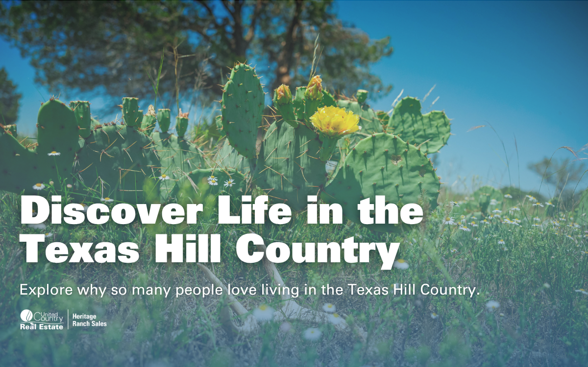 Discover Life in the Texas Hill Country